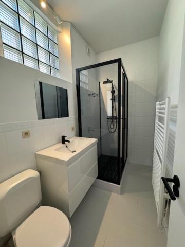 Studios Cosy Brüksel Dış mekan fotoğraf